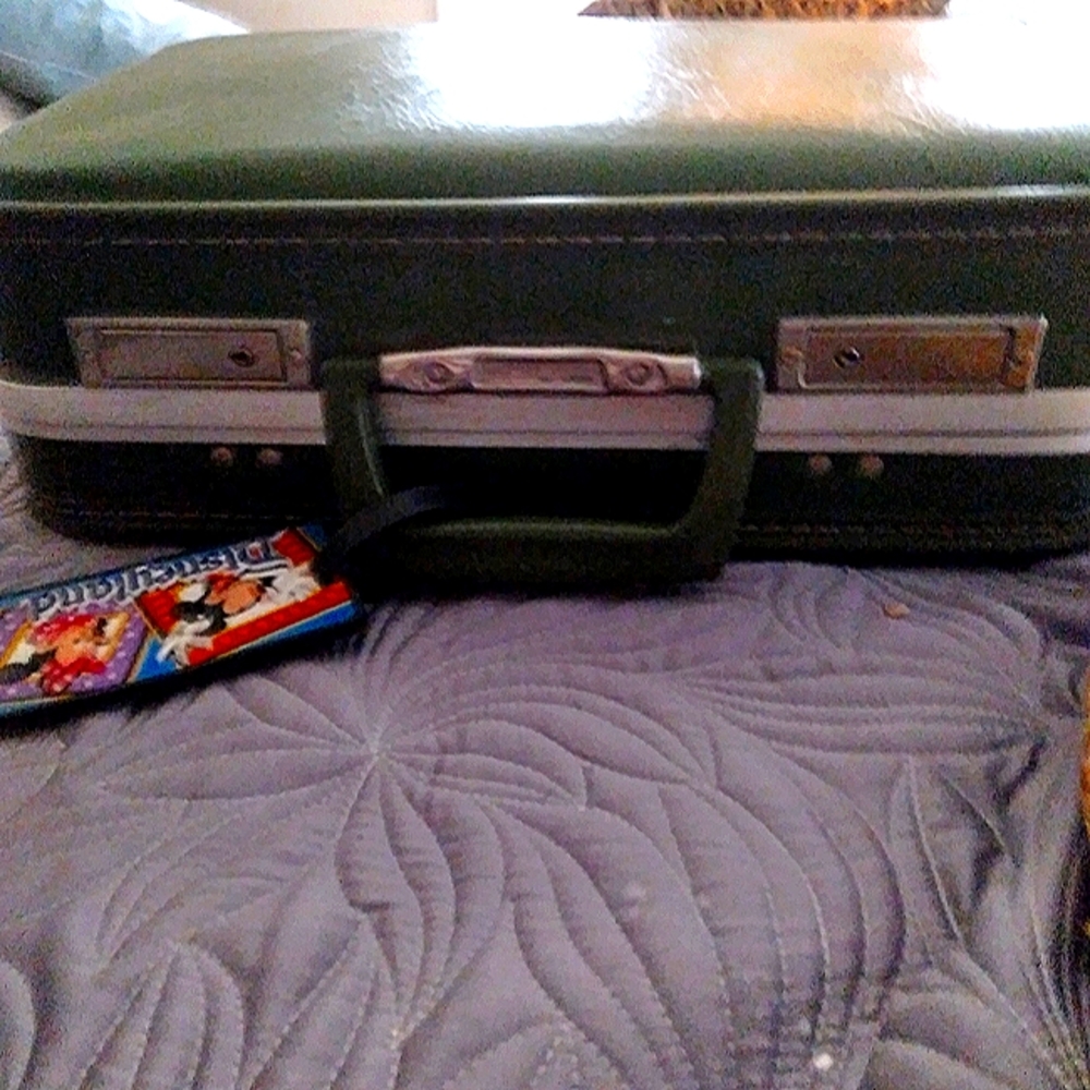 Vintage Small Hardshell Mini Case - image 7